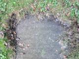 image of grave number 583786